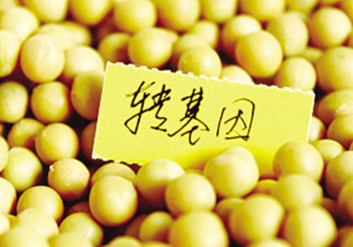 真相了！一文搞懂轉(zhuǎn)基因食品與日用品的檢測方法